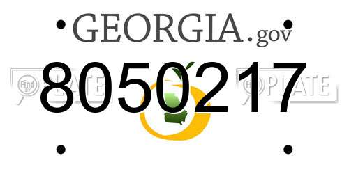 8050217 Georgia License Plate