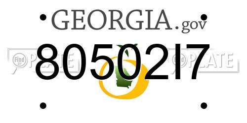 80502I7 Georgia License Plate