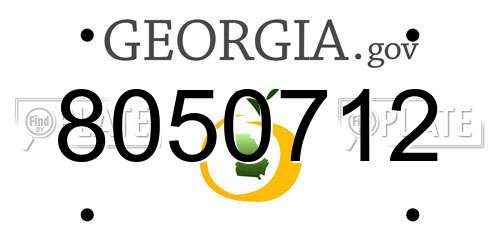 8050712 Georgia License Plate