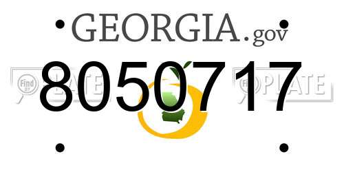 8050717 Georgia License Plate