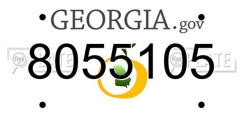 8055105 Georgia License Plate