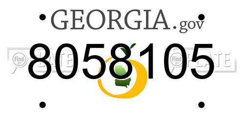 8058105 Georgia License Plate