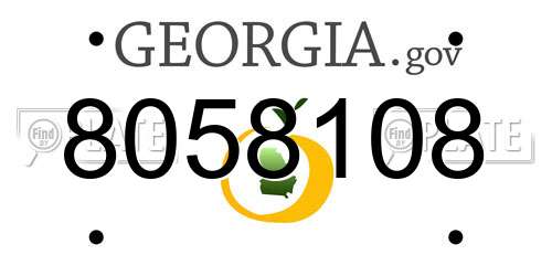 8058108 Georgia License Plate