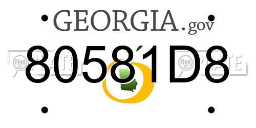80581D8 Georgia License Plate