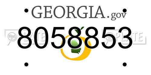 8058853 Georgia License Plate