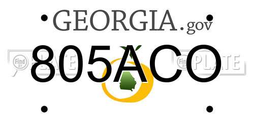 805ACO Georgia License Plate