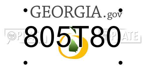 805T80 Georgia License Plate