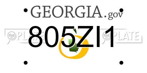 805ZI1 Georgia License Plate