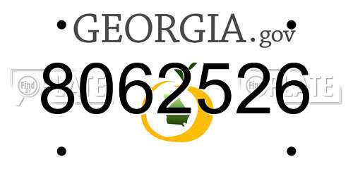 8062526 Georgia License Plate