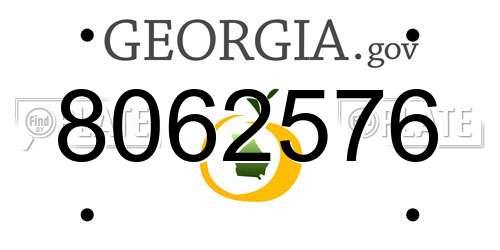 8062576 Georgia License Plate
