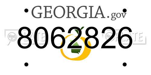 8062826 Georgia License Plate