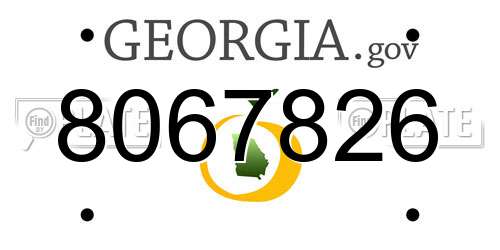 8067826 Georgia License Plate