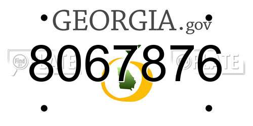 8067876 Georgia License Plate