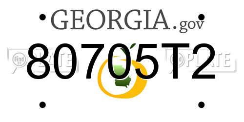 80705T2 Georgia License Plate