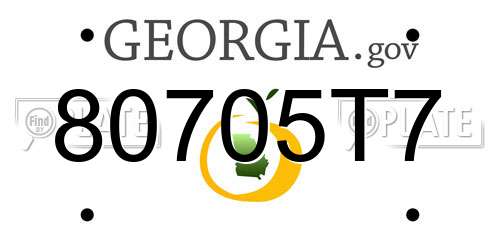 80705T7 Georgia License Plate