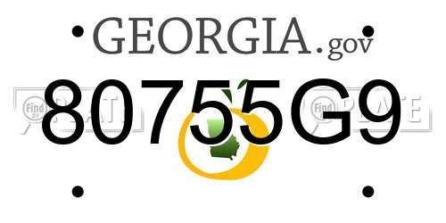 80755G9 Georgia License Plate