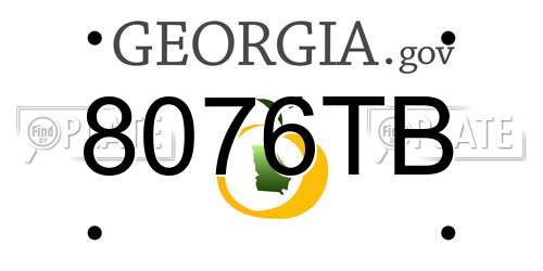 8076TB Georgia License Plate