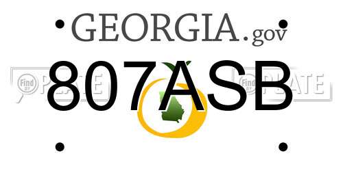 807ASB Georgia License Plate