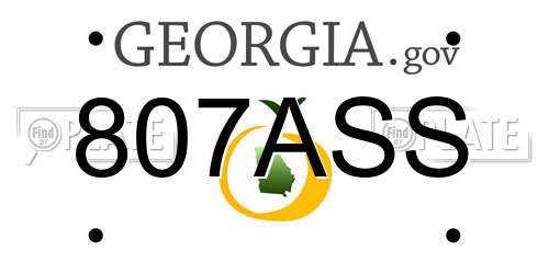807ASS Georgia License Plate