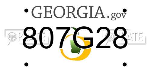 807G28 Georgia License Plate