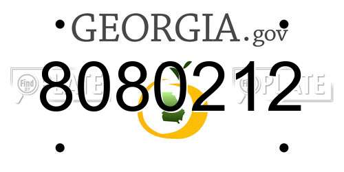 8080212 Georgia License Plate