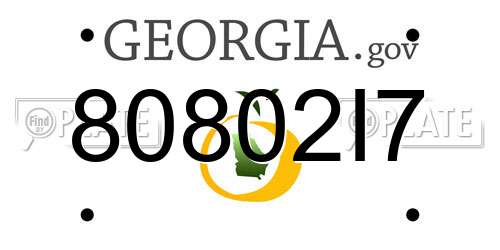 80802I7 Georgia License Plate
