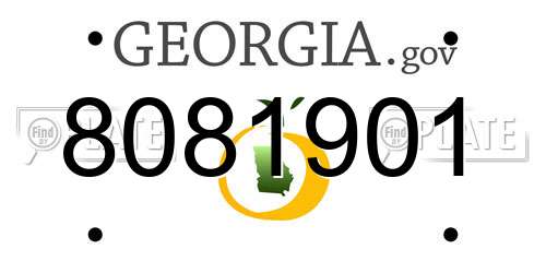 8081901 Georgia License Plate