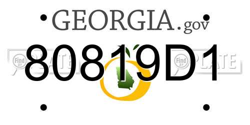 80819D1 Georgia License Plate