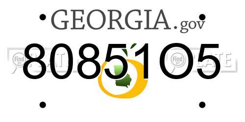 80851O5 Georgia License Plate