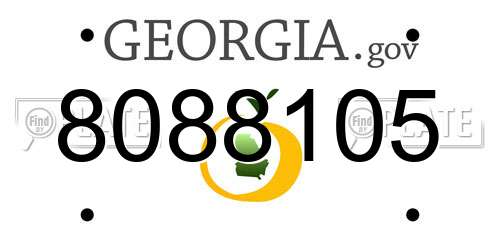 8088105 Georgia License Plate