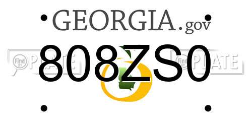 808ZS0 Georgia License Plate