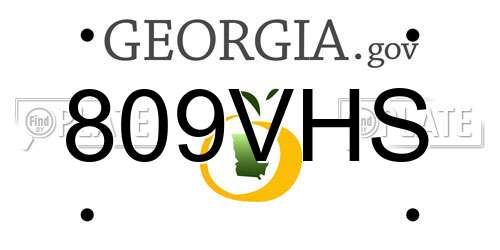 809VHS Georgia License Plate