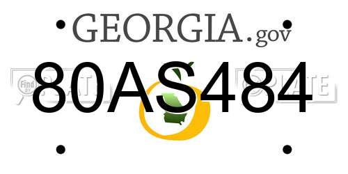 80AS484 Georgia License Plate