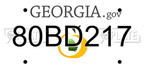 80BD217 Georgia License Plate