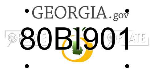 80BI901 Georgia License Plate