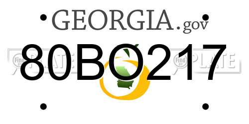 80BO217 Georgia License Plate