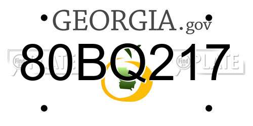80BQ217 Georgia License Plate