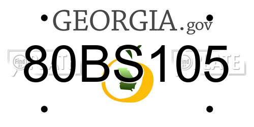 80BS105 Georgia License Plate
