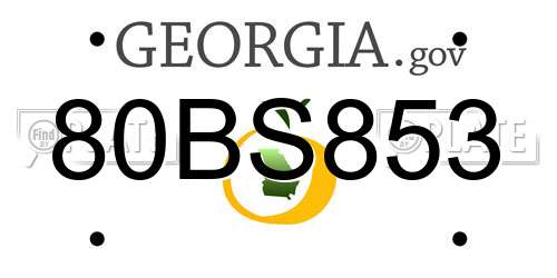 80BS853 Georgia License Plate