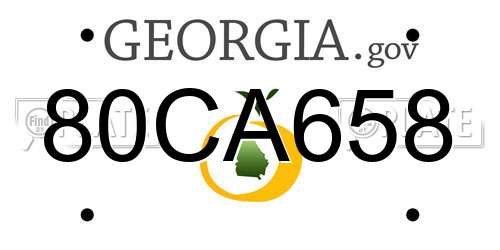 80CA658 Georgia License Plate