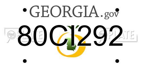80CI292 Georgia License Plate