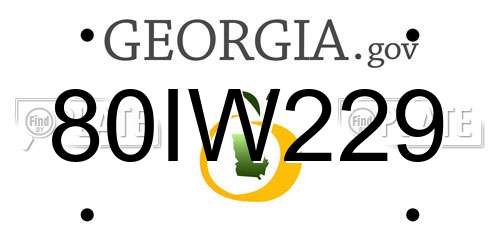 80IW229 Georgia License Plate