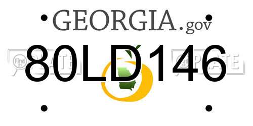 80LD146 Georgia License Plate