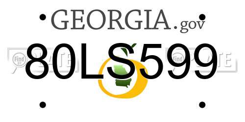 80LS599 Georgia License Plate