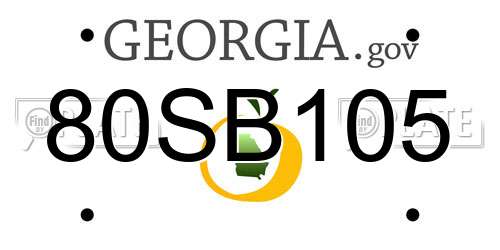 80SB105 Georgia License Plate