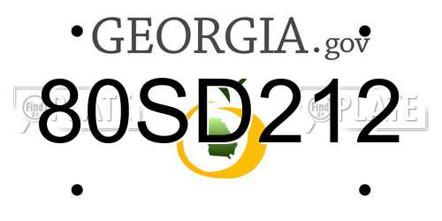 80SD212 Georgia License Plate