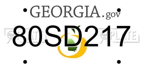 80SD217 Georgia License Plate