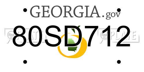 80SD712 Georgia License Plate