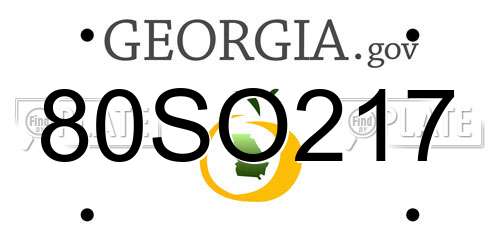 80SO217 Georgia License Plate
