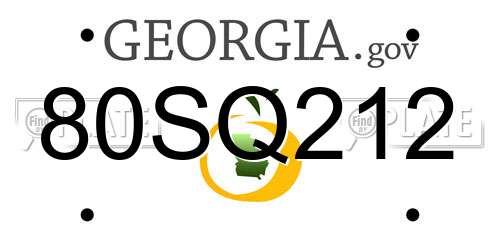 80SQ212 Georgia License Plate